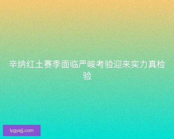 辛纳红土赛季面临严峻考验迎来实力真检验